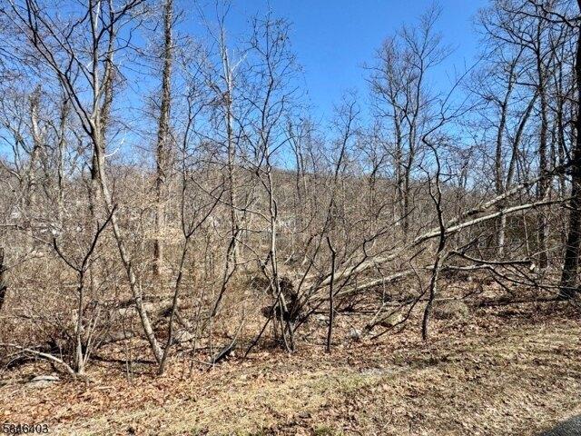 Land for sale in Glasser, New Jersey