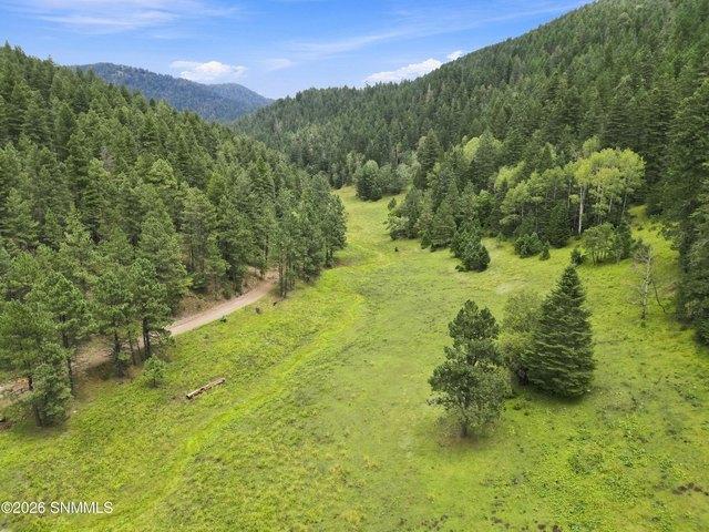Land for sale in Cloudcroft, New Mexico
