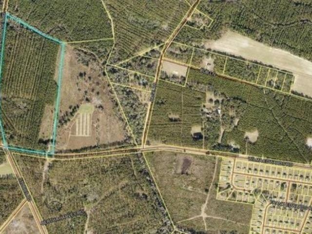 Land for sale in Ellabell, Georgia