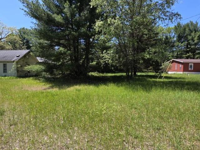 Land for sale in Baldwin, Michigan