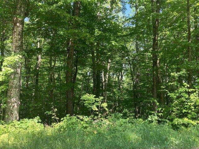 Land for sale in Wilmington, Vermont