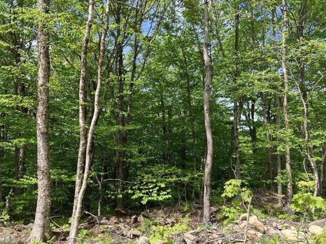 Land for sale in Wilmington, Vermont