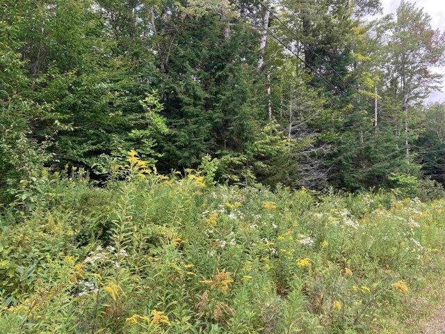 Land for sale in Wilmington, Vermont