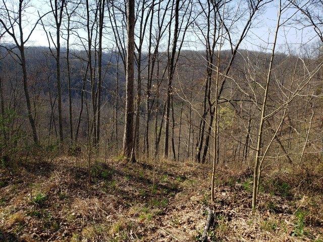 Land for sale in Frametown, West Virginia