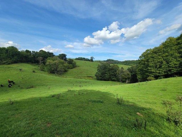 Land for sale in Independence, Grayson County
