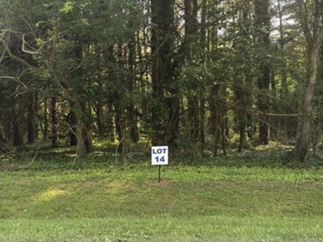 Land for sale in Galena