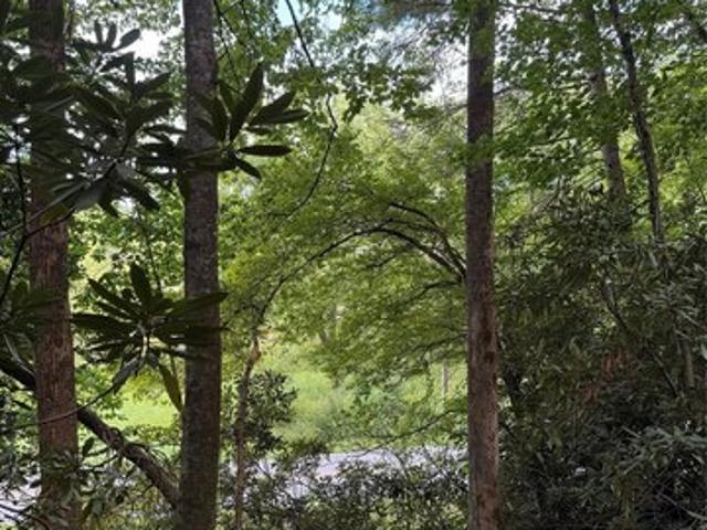 Land for sale in Transylvania, North Carolina