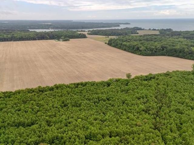 Farm for sale in Virginia