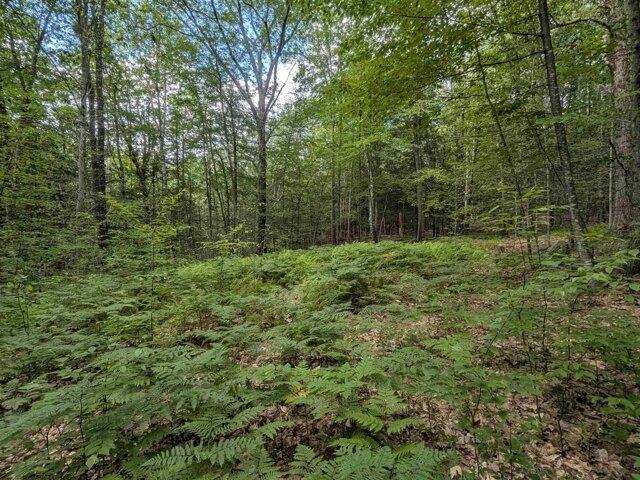Land for sale in New Hampshire