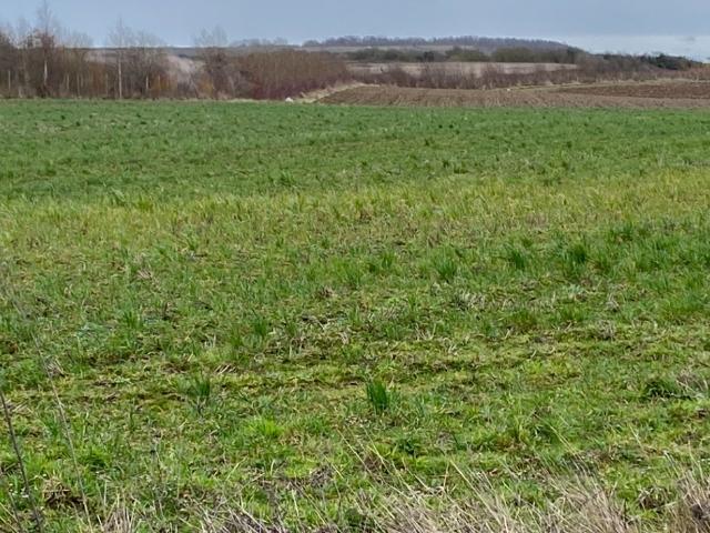 Terrain vente à Boulogne-sur-Mer, Wimille