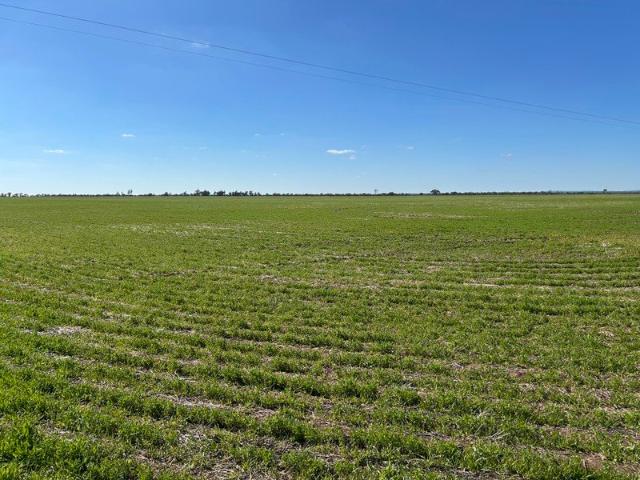 Cottage for sale in Donald, Victoria