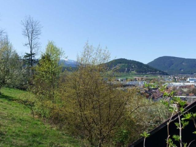 Haus kaufen in Wimpassing im Schwarzatale, Niederösterreich