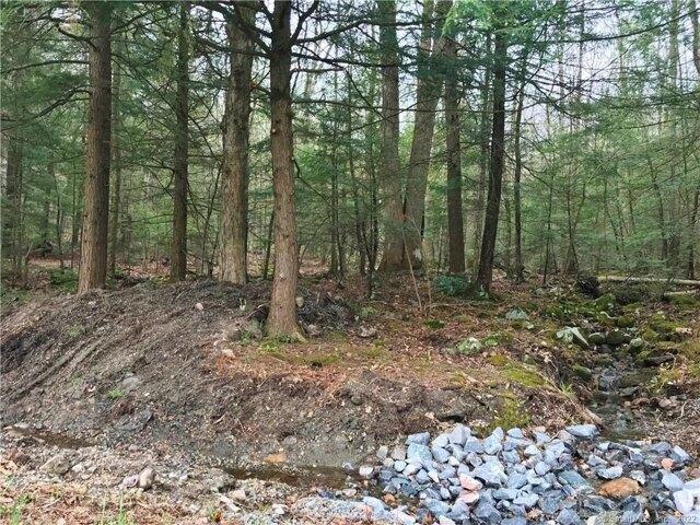 Land for sale in Winchester Center, Connecticut