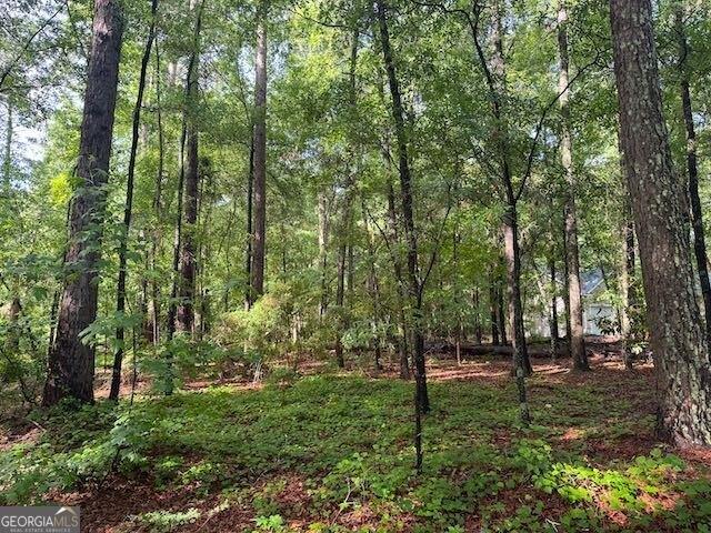 Land for sale in Sandersville, Georgia