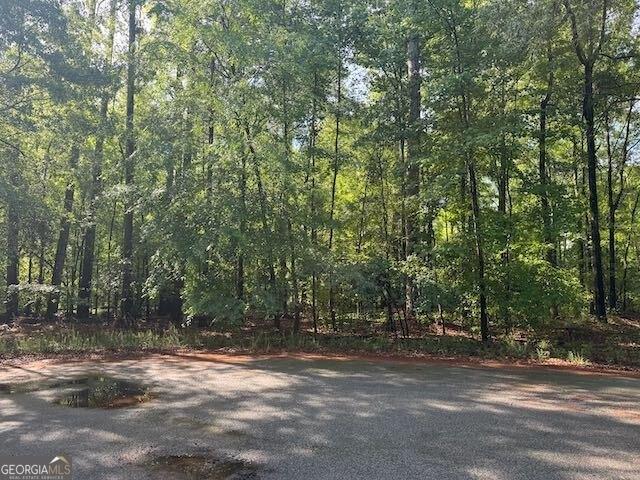 Land for sale in Sandersville, Georgia