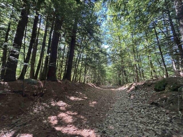 Land for sale in New Hampshire
