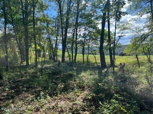 Land for sale in Williamsport