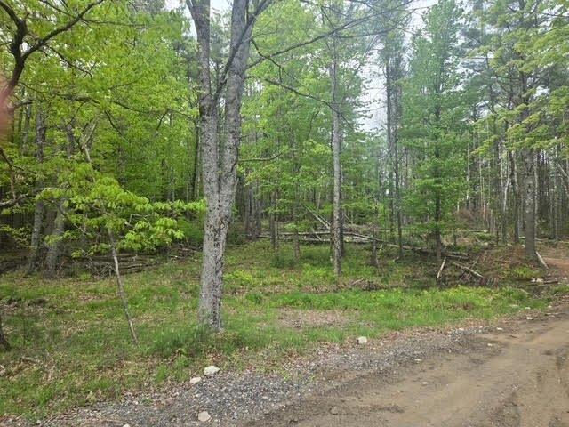 Land for sale in Windham, Cumberland County