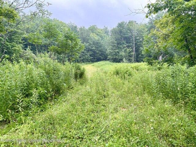 Land for sale in Ashland, New York