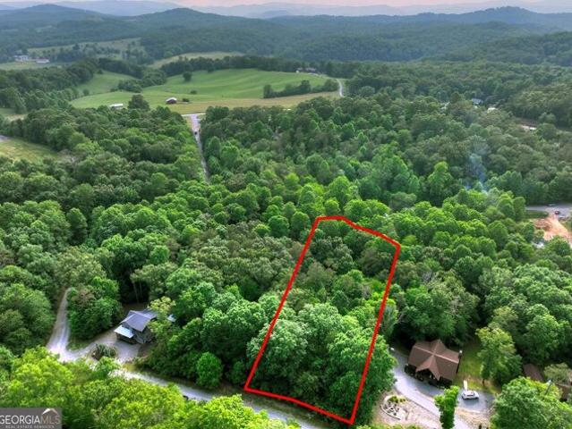 Land for sale in Blue Ridge