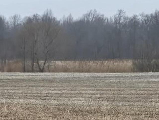 Land for sale in Delaware