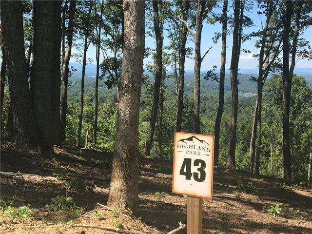 Land for sale in Blairsville