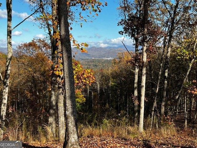 Land for sale in Blairsville, Georgia
