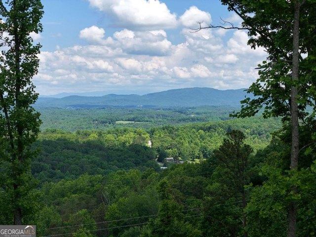 Land for sale in Blairsville, Georgia