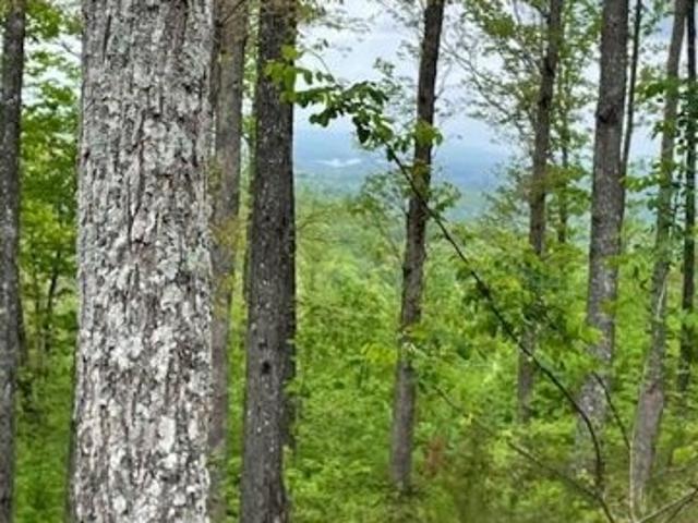 Land for sale in Blairsville