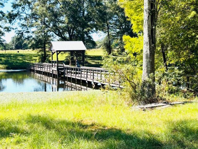 Land for sale in Poplarville, Mississippi