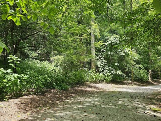 Land for sale in Clayton, Georgia