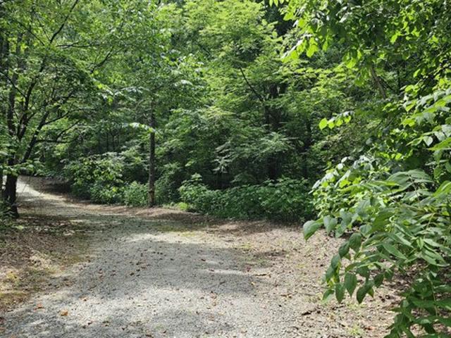 Land for sale in Clayton, Georgia
