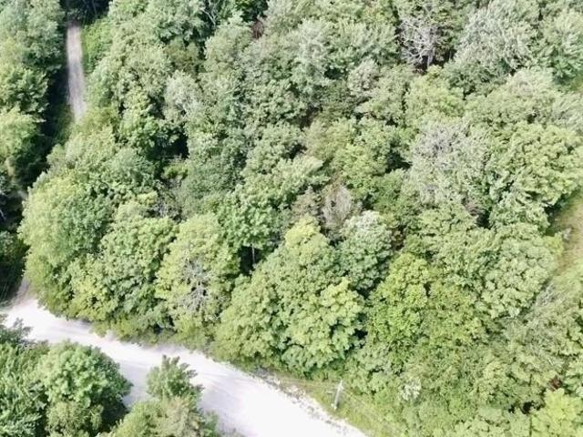 Land for sale in Killington, Vermont