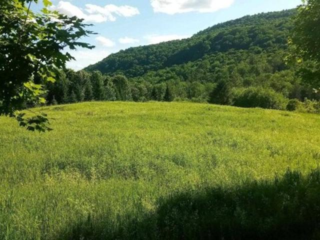 Land for sale in Williamstown, Vermont
