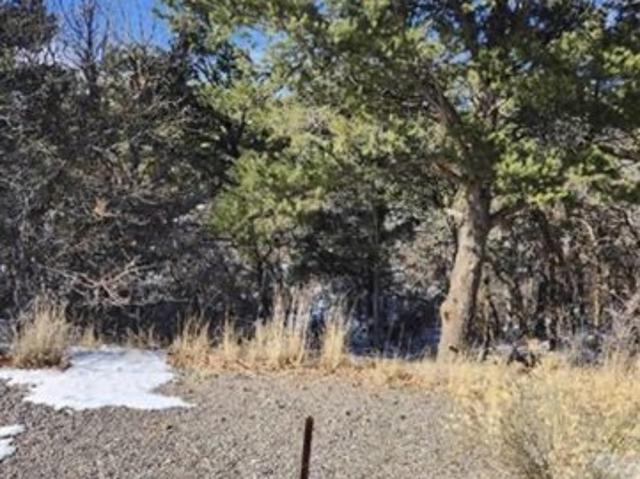 Land for sale in Montrose, Colorado