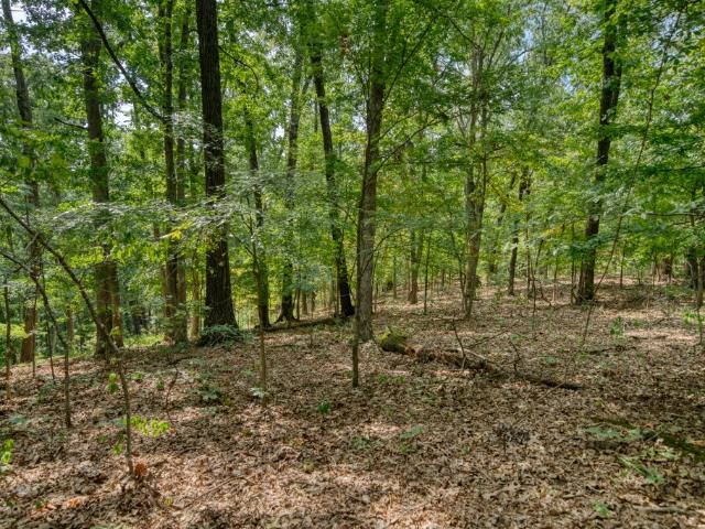 Land for sale in Ark