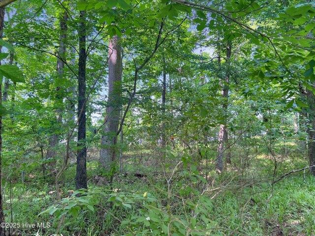 Land for sale in Edenton Land for sale in Edenton