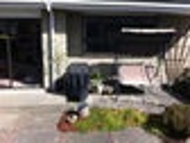 Townhouse for rent in Otakou