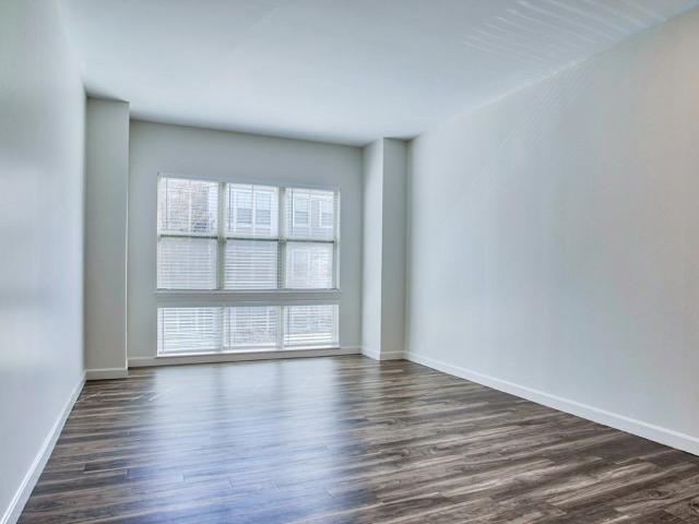 Apartment for rent in Melrose