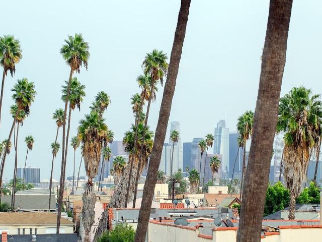 Apartment for rent in Canoga Park, California
