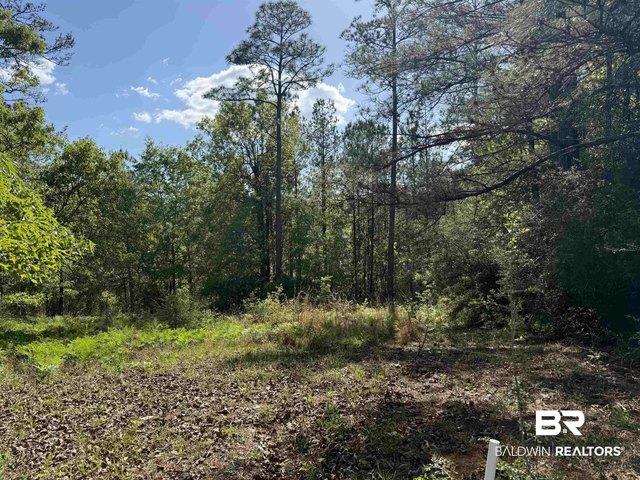 Land for sale in Brewton, Escambia County