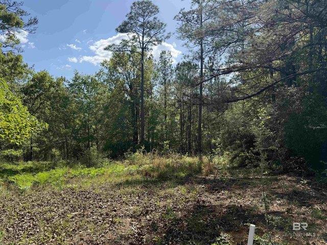 Land for sale in Brewton, Alabama
