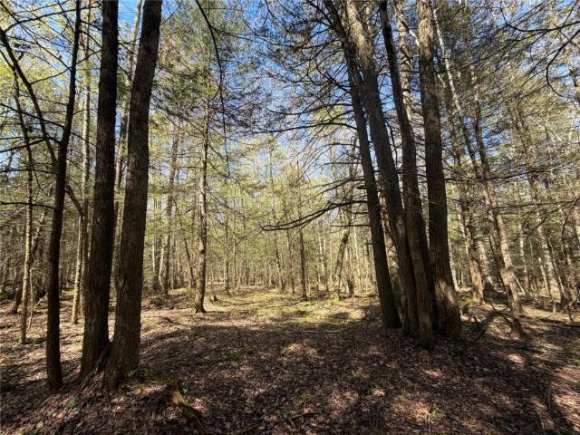 Land for sale in Bainbridge, New York
