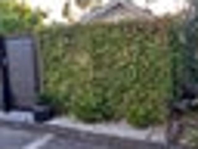 Apartment for rent in Paremoremo