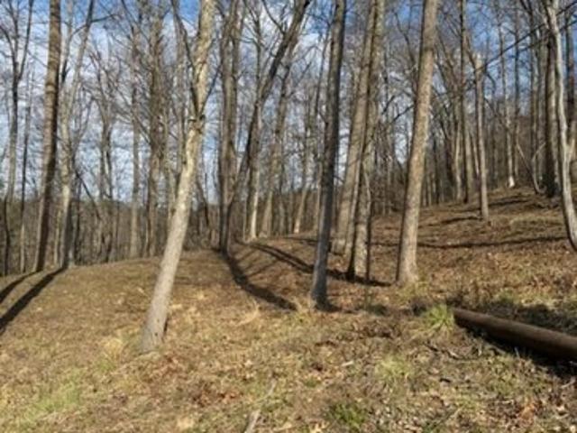 Land for sale in Bridgeport, West Virginia