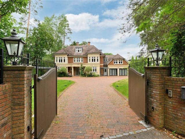 House for rent in Sunninghill and Ascot, Ascot