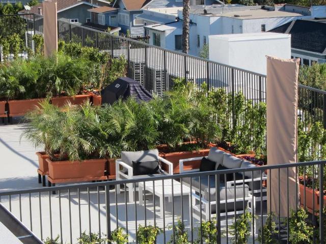 Apartment for rent in Canoga Park, California