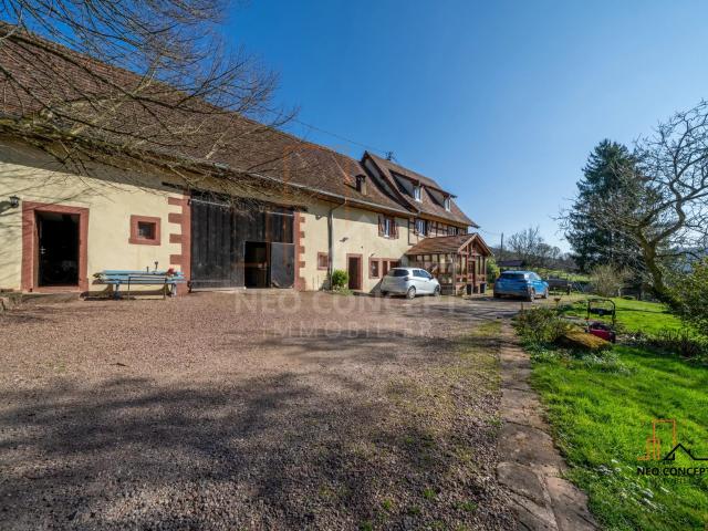 Maison vente à Haguenau-Wissembourg, Windstein