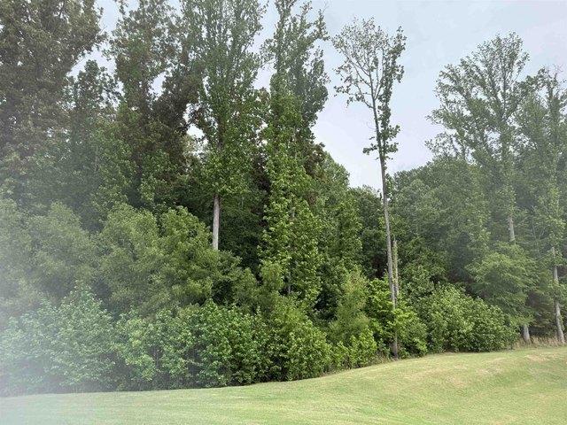 Land for sale in Tennessee