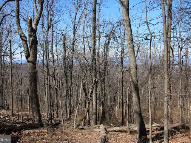 Land for sale in Virginia